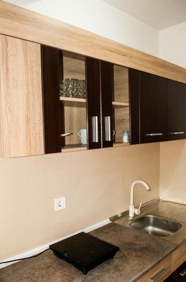 Apartman Soko Сокобаня Екстер'єр фото